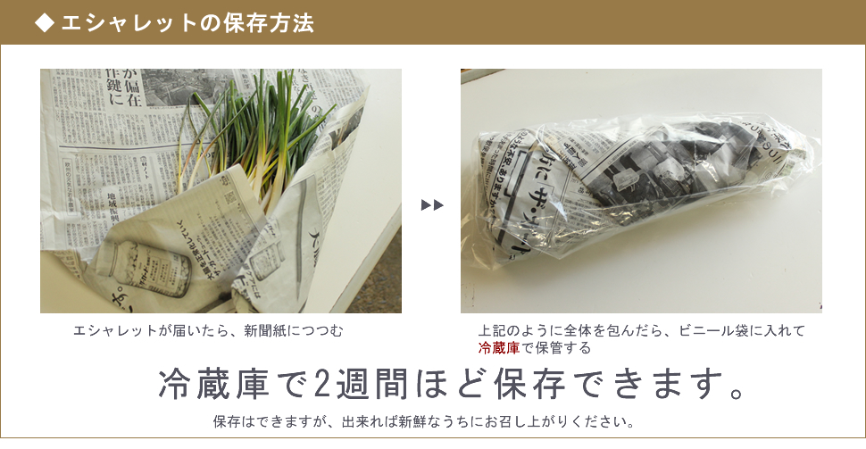 エシャレット保存方法
